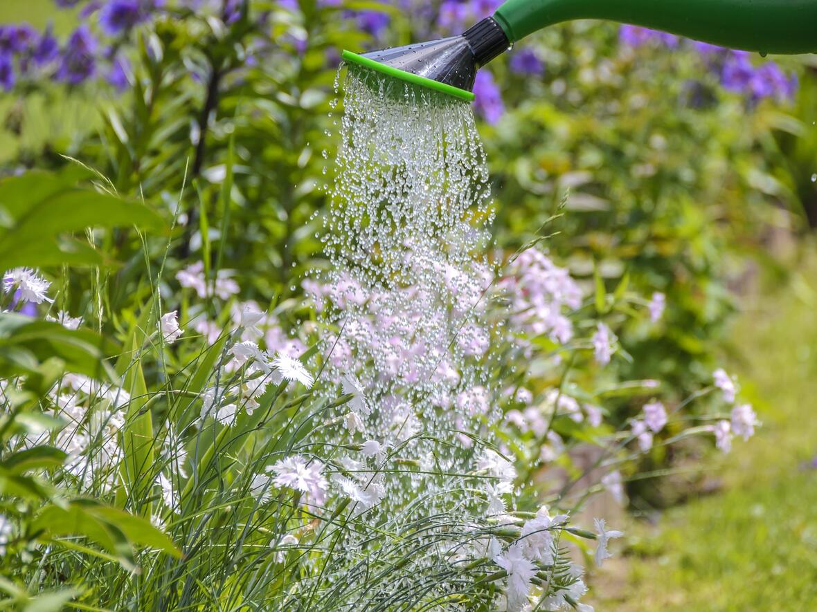 garten-und-landschaftsbau